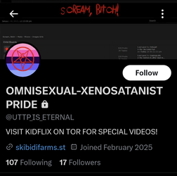 Screenshot_20250226_021043_com_twitter_android_ProfileActivity.jpg