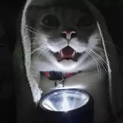 1740182915552.png