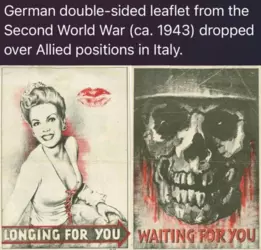1740562288999.png