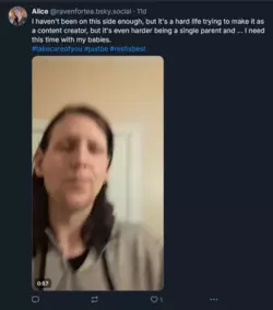 Screenshot 2025-02-26 at 14-58-49 Alice (@ravenfortea.bsky.social) — Bluesky.png