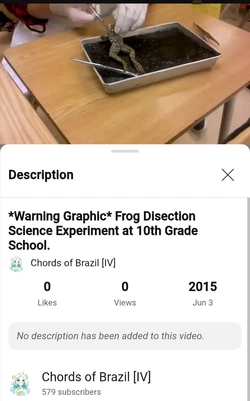 Screenshot_20250227_005043.jpg