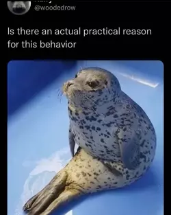 1002930495-seal.jpg