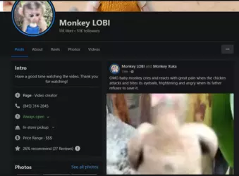 Monkey LOBI Facebook.png