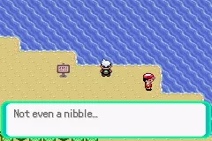 Pokemon_not_even_a_nibble.png