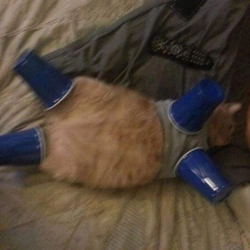 1740656728095.jpeg