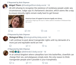 wtf.jpg