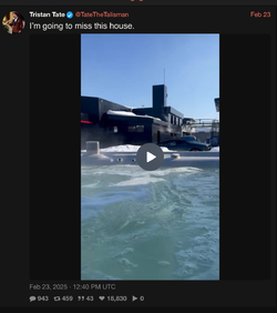 IMG_2489.jpeg