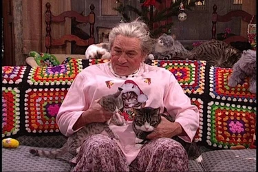 Robert-De-Niro-Cat-Lady-SNL.jpg