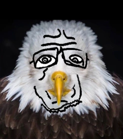 Sideagle .JPG