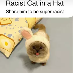 RACIST CAT.png