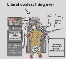 1000044984.jpg
