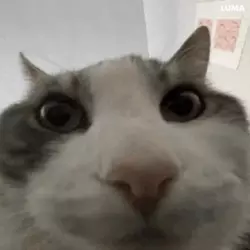 1740726109977.png