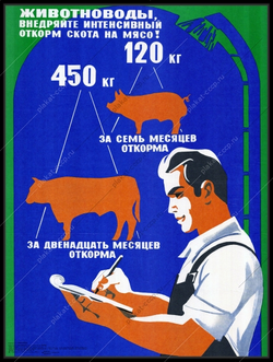 meat2.jpg