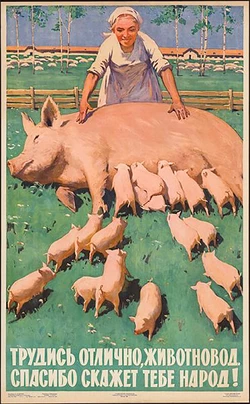 meat3.jpg