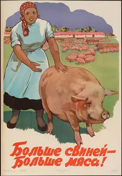 meat4.jpeg
