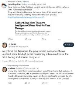 gabbard.jpg