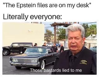 Epstein Files - those bastards lied to me.jpg