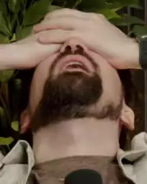 Destiny_beard_below.jpg