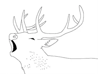deer jak.jpg