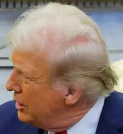 1740785386962.png