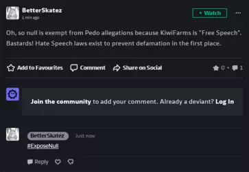 Screenshot 2025-02-28 at 21-06-58 BetterSkatez - Hobbyist General Artist DeviantArt.png