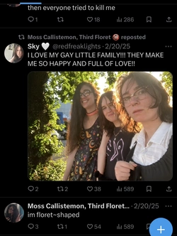 IMG_6900.jpeg