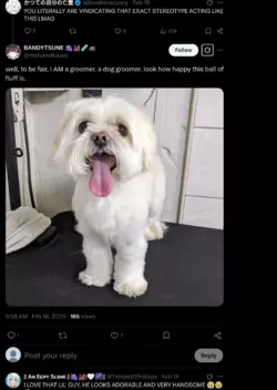 snapshot_x.com_1740864418907.png