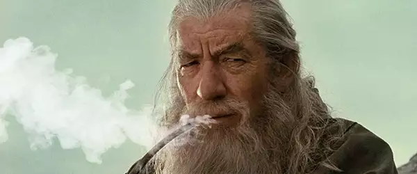 what-was-gandalf-smoking-the-lord-of-the-rings.jpg