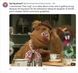 1740931108322.png