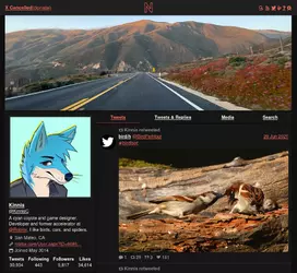 kinnis-twitter-profile.png
