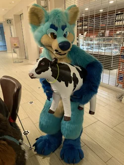 kinnis-fursuit-cow.jpeg