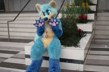 kinnis-fursuit-sit.jpg