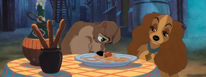 HEADER-LADY-TRAMP.jpg