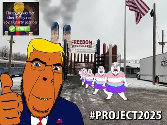 1231.png