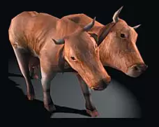BrahminFOBOS.png