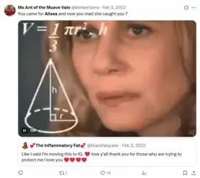 Screenshot 2025-03-03 at 10-18-58 blackfatqueer alissa - Search _ X.png