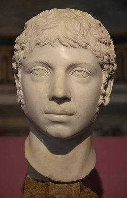 463px-Marble_bust_of_Roman_emperor_Elagabalus,_ca._221_AD,_Capitoline_Museums_(20814003112).jpg