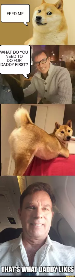 dogerino.jpg