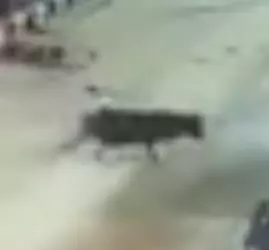 1741069011691.png