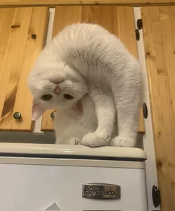 FbvWv4WX0AwSEJy.jpg