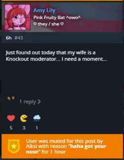 1741097575621.png