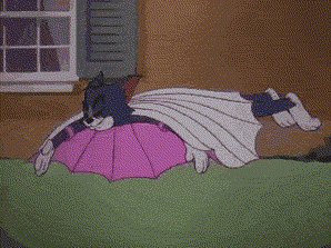 flyingcat.gif