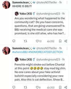 Screenshot_20250304-131524~2.png