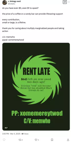 Screenshot 2025-03-04 at 8.25.16 PM.png