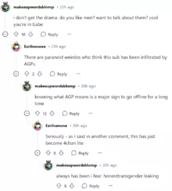 Screenshot 2025-03-04 at 18-25-21 I'm a bisexual trans woman r_StraightTransGirls.png