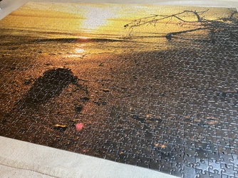 puzzle IMG_7761.JPG