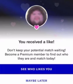 1741134007065.jpeg