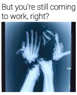 467248708d34c66c.jpg
