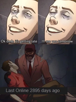 03357995.jpg