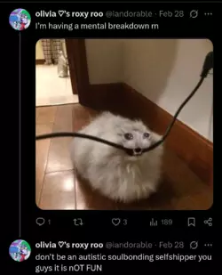 Screenshot_20250305-121352.png